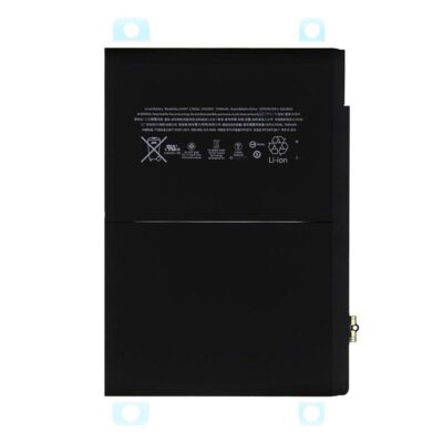 iPad 2 Battery